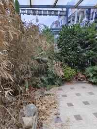 一切痛苦都來于自己的執著，
如果有人讓我們痛苦，
我們首先應該檢視的是自己。配圖