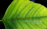 人生就是一場自我救贖，善待自己，從學會放下開始！?配圖