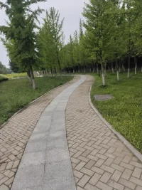真誠是通向幸福的捷徑。欺騙隱瞞會讓事情處理起來更復雜，真誠相待會讓事情處理起來更簡單，只有真誠兩人才會越來越幸福，越來越輕松快樂?配圖