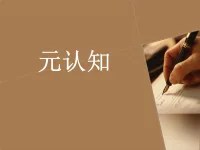 比起失眠本身，更加困擾我的是擔(dān)心失眠。
改善涉及元認(rèn)知：對(duì)認(rèn)知的認(rèn)知。
即改變對(duì)“擔(dān)心失眠”這個(gè)觀點(diǎn)的觀點(diǎn)。配圖