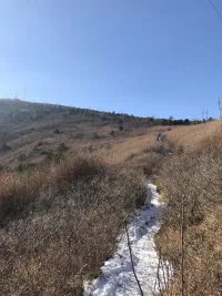 冷漠型的人宣揚自己的完美更多的是在宣稱他的不完美，通過這種自我生成的宣傳手段提供一種刺痛式的保護，來防止自己感到羞恥，承認他人的重要太難。配圖
