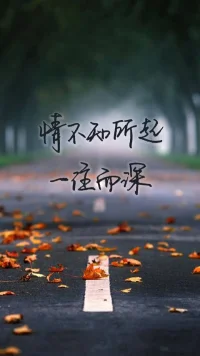 情不知所起，一往而深，那是癡戀。情知所起，明心見性，這才是咨詢。覺察到咨詢中雙方情感的流動(dòng)，分析和運(yùn)用移情與反移情，而不為情所困，于是咨詢有效。配圖