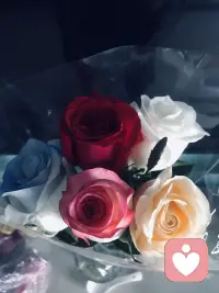 没有情人的情人节配图