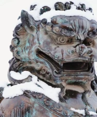 也有些人沒有妥協于動物的劣根性，
從苦難中修煉出極致的灰色生命力。
每個走過逆境并成功蛻變的人，
背后都是一個浴血重生，
強大而兇猛的靈魂。配圖