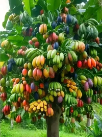 當(dāng)你處在一段健康穩(wěn)定的關(guān)系中，你就會(huì)容光煥發(fā)，眼睛都會(huì)發(fā)光，整個(gè)人看起來狀態(tài)好極了。
相反如果是在一段不健康的關(guān)系中，整個(gè)人看起來都很憔悴很蒼老，甚至皮膚都會(huì)變差，狀態(tài)不好的時(shí)候 人是打不起精神來的，就算再努力讓自己看起來開心，別人也可以一眼看穿。
被愛跟不被愛的狀態(tài)差別太大了，所以在不被愛的時(shí)候，要及時(shí)收回自己的愛意，就算再難受也要及時(shí)止損。
你很漂亮的，你不應(yīng)該沉浸在不被愛的垃圾狀態(tài)里，你應(yīng)該去尋找并且享受健康的愛。??配圖