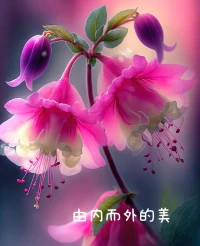 《消失的她》：教育女兒要改變觀念了。?
第一種，“女孩子要有一個女孩樣”——我們傳統的教育觀念里，女孩如水，要溫柔善良，要優雅氣質，要懂點琴棋書畫。《#消失的她#》中的被謀殺的女主，就是這類優秀的女孩，他善良溫柔，熱愛畫畫，有氣質——這是一種傳統的富養。
?第二種育兒觀，“誰說女孩不如男”——教育過程中不分男女，能教給男孩的，對女孩應教盡教，只要她愿意學，比如，如何管理企業、如何成為工程師、如何搞好商務關系、如何精通人性的博弈……
?兩種育兒觀帶來的最大差異——就是心智模式的巨大不同。
?第一種育兒觀，帶來的是依附型心智模式，表現為取悅男人，包括要溫柔如水，要善良賢惠，要優雅氣質，要懂琴棋書畫……本質上都有取悅的傾向。甚至，有些讀個什么大學、選個什么專業，也都是指望嫁人的時候，遇到一個不錯的對象，可以嫁到更好的家庭。在這樣的心智模式下，女孩會覺得很多偏男性的專業和工作不適合自己，也會覺得與人打交道的商務工作不適合自己。相反，覺得照顧小寵物、插花、茶藝這類的工作很適合自己。依附型心智模式的最大缺陷，就是容易形成“受害者心理”。?
第二種育兒觀，帶來的是獨立型心智模式，表現為取悅自己，不管學習人性的復雜性，還是懂得博弈的技巧，或者是學習企業管理，還是懂得信息技術，本質上是讓自己變得更獨立、更有創造力。在這樣的心智模式下，女孩更有韌性，不會產生“圣母心”，他們不會把自己局限在養寵物、插花、茶藝、做手工等傳統女性思維本能選擇的領域。相反，他們不怕冒險，敢于挑戰，走出自己的舒服的道路。配圖