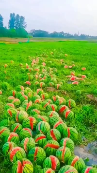 人心就像是一個容器，時間久了總會有垃圾。
所以也要定期清理，扔掉不該有的念頭，倒掉混亂糟糕的情緒，人才能活得更灑脫、更自在。
當我們丟棄生活中那不重要的90%后，剩下的10%會讓我們收獲更多。做減法的人生才更輕松。配圖