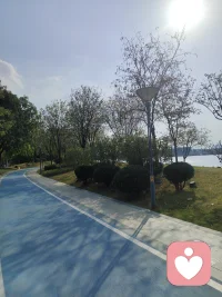 允许心情蒙尘，允许脚步沉重。

走进一片光与绿意里，让风穿过你，让光斑在你肩头跳跃。

路不评判你的来处，它只温柔地向前铺展，