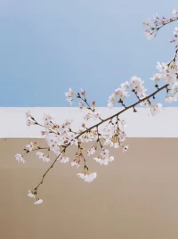 心理創(chuàng)傷深埋于我們的腦海中，意識(shí)會(huì)否認(rèn)它的存在，但我們常常會(huì)在下一代人身上遇到它。配圖