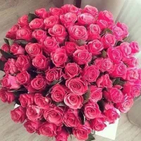 任何事業的成功都彌補不了婚姻的失敗，只有婚姻成功了才是我們心靈里最深切的渴望。配圖