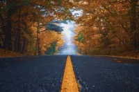 前路漫漫亦燦燦，往事堪堪亦瀾瀾配圖