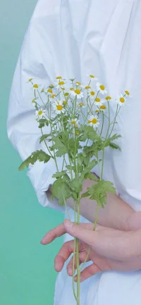 迷途漫漫總有一歸，幸與不幸終有盡頭，希望我們樂觀積極向上！配圖