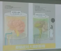 看圖！配圖