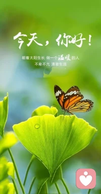 永遠(yuǎn)不要試圖做一個(gè)完美的人。
蝴蝶飛不過滄海，沒有誰忍心責(zé)怪；
鳥兒跨不過銀河，也不會(huì)有人非難！

除非經(jīng)過你允許，否則，沒人能讓你覺得自責(zé)?配圖