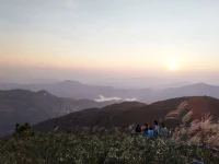建立社交聯(lián)系是至關(guān)重要的。
  我們可以積極主動地與他人建立聯(lián)系和參與社交活動，如參加興趣小組、社區(qū)活動或志愿者組織等。
  其次，與家人和朋友保持聯(lián)系也是非常重要的。我們可以定期進(jìn)行交流和互動，分享彼此的生活和感受。
  最后，如果感到孤獨(dú)或社交孤立，尋求專業(yè)支持是非常有幫助的。我們可以尋找心理健康專業(yè)人士進(jìn)行咨詢或治療，獲取幫助和支持。配圖