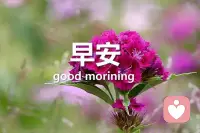 早安！讓心靈的問候，點亮你我。迎著清晨的太陽，輕輕的對自己說：親愛的自己，激動人心?的一天?又來?到了！愿所有的美好都如期而至。配圖