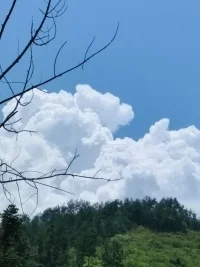 人生就像一場旅行，不在乎目的地，而在乎沿途的風景以及看風景的心情。配圖