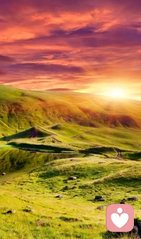 每天都是新的開始，不要讓昨天的失敗影響今天的心情。配圖