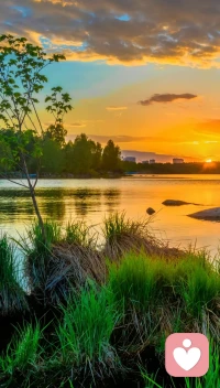 生活不是等待風暴過去，而是學會在風雨中航行。配圖