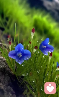 無論你過去經歷了多少傷痛，時間都會讓人逐漸淡忘。就像被風吹落的花朵，雖然無法再回到枝頭，但當冬去春來時，枝頭依舊會綻放出鮮艷的花朵。配圖