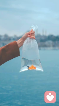 生活雖然給我們帶來(lái)了一些糟糕的體驗(yàn)，但實(shí)際上都是為了把壓軸的好運(yùn)送到我們面前。配圖