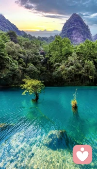 要明白，逆境是個人成長的必由之路，只有勇敢接受逆境的人，才能日益茁壯。配圖