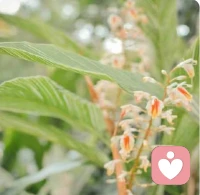 不爭，元氣不傷;不畏，慧灼閃光;不怒，百神和暢;不憂，心地清涼;不求，不卑不亢;不執，可園可方;不貪，便是富貴;不茍，何懼君王!配圖