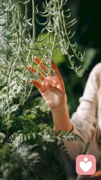 不想讓自己成為別人聊天時的下酒菜，那就努力讓自己成為他們吃不起的警餮盛宴。配圖