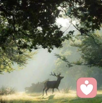 人，活得再漂亮，也会有凄凉;路，走得再潇洒，也会有迷茫;歌，唱得再响亮，也会有冷场。不动摇，不惰怠，不退缩，为爱付出，为梦想不懈，为幸福努力，人生就像蒲公英，愿所有汗水都有收获，所有努力都不被辜负!配图