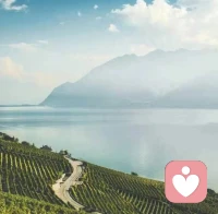 别人毁谤你，是因为你优秀。别人利用你，是说明你有价值。别人嫉妒你，说明你走在他前面;别人用言语打击你恶意炒作你，说明你很有影响力。所以不要生气要争气，要开心不要伤心，要突破不要看破。生活原来像镜子，你笑他也笑，你哭他也哭，坚持做你自己。近君子、远小人，笑对生活。配图