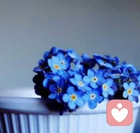 这个世界从来不缺看热闹的。努力吧，你不努力谁也给不了你想要的生活!配图