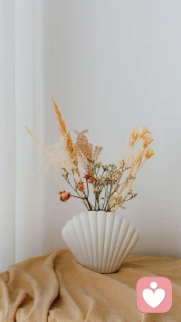 只要你想永远不晚只要你做就可能成功配图