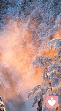 我们都有权利感到痛苦，也有能力去治愈它。配图