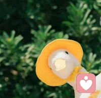 行动这件事，从来不需要等到什么好天气好状态，此时此刻就是永远，此时此刻就是一切。配图