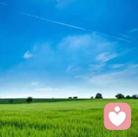 不論今后的路如何，都要在心底默默鼓勵自己，堅持不懈，等待那一場破繭的美麗。配圖