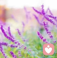 人生无常，生命就在呼吸之间。一个人在人间不断地索取欲望中，很快就忘记自己的本性和良心;一个人在名利的追逐中，不停地攀求，渐渐会失去本性的智慧。人间没有什么太多的对和错，只有因果。一切自然来、自然去，自然的人就是随缘众生。只有珍惜和放下、把握当下才拥有明天。配图