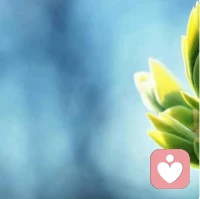 做事:博学一点，诚信一点，负责一点。交友:真诚一点，大度一点，热情一点。处事:谦恭一点，礼貌一点，淡泊一点。修养:安静一点，慈善一点，沉稳一点。得意:低调一点，收敛一点，感怀一点。失意:忍耐一点，豁达一点，参透一点。配图