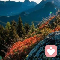 哪怕此刻的生活有多糟糕，每一个看似低的起点，都是通往更高峰的必经之路。请相信，青春的逝去并不可怕，可怕的是失去了勇敢地热爱生活的心。请相信，那些偷偷溜走的时光，催老了我们的容颜，却丰盈了我们的人生。配图