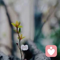 老子认为:水无常形，顺势而为，为而不争，方达所愿。人当如水，不争不抢，默默流淌，一点点积攒力量，执着于一点，总可以抵达彼岸。与别人竞争，不如顺应天道，默默修炼自己!配图