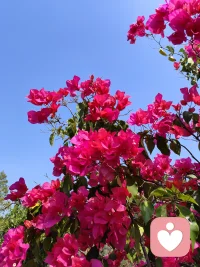 我们读所有的书最终的目的都是读到自己。配图