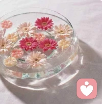 风可以吹起一张白纸，却无法吹走一只蝴蝶，因为生命的力量在于不顺从。配图