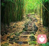 我们有一种天生的惰性，总想着吃最少的苦，走最短的弯路，获得最大的收益。有些事情，别人可以替你做，但无法替你感受，缺少了这一段心路历程，你即使再成功，精神的田地里依然是一片荒芜。成功的快乐，收获的满足，不在奋斗的终点，而在拼搏的过程，该你走的路，要自己去走，别人无法替代。配图