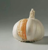 不是每個能湊合的都是你的歸宿。配圖