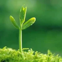 一個人一旦有了自我認識，也就有了獨立人格，而一旦有了獨立人格，也就不再渾渾噩噩，虛度年華了。換言之，他一生都會有一種適度的充實感和幸福感。配圖