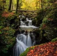 把人生當旅程的人，遇到的永遠是風景，淡而遠;而把人生當戰(zhàn)場的人，遇到的永遠是爭斗，激而烈。人生就是這樣，你選擇什么你就會遇到什么，沒有對錯之分，只有承受與否。做淡然若水的女子，不道閑言碎語，只有書香詩話。配圖