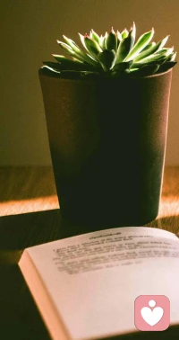 所谓焦虑:是想象力用错了方向。配图