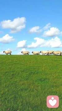 你不用懂事，不用坚强，不用假装没事。
累了就歇一歇，委屈就哭一哭，心里堵得慌，就说出来。
我在这里，安安静静听你说，不评判、不打断、不指责。
你值得被好好倾听，好好拥抱。配图