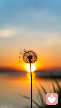 情绪不是矫情，是你真的累了。焦虑、难过、迷茫、失望......都可以在这里安全释放。
我懂你的不容易，也愿意接住你的所有情绪。配图