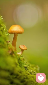 你有没有觉得，越长大越孤单，越懂事越委屈，越坚强越疲惫。其实你可以不用那么懂事，不用那么坚强。来我这里，你可以放心脆弱，放心难过，放心把心里的话说出来。