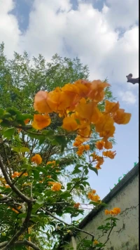 因為值班，今年我沒有去踏青，但粽子一樣香甜著。
前段時間刷到了一句話很喜歡:
父愛則母靜，母靜則子安，子安則家和，家和萬事興!  祝大家端午安康??????配圖
